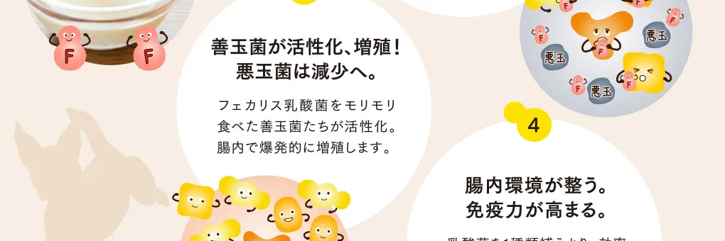 3 善玉菌が活性化、増殖！悪玉菌は減少へ。