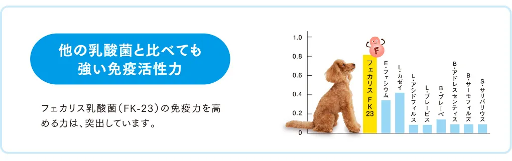 他の乳酸菌と比べても強い免疫活性力