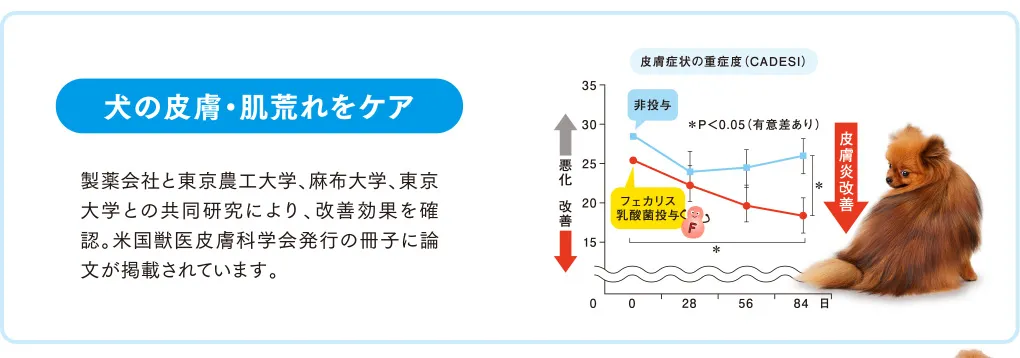 犬の皮膚・肌荒れをケア