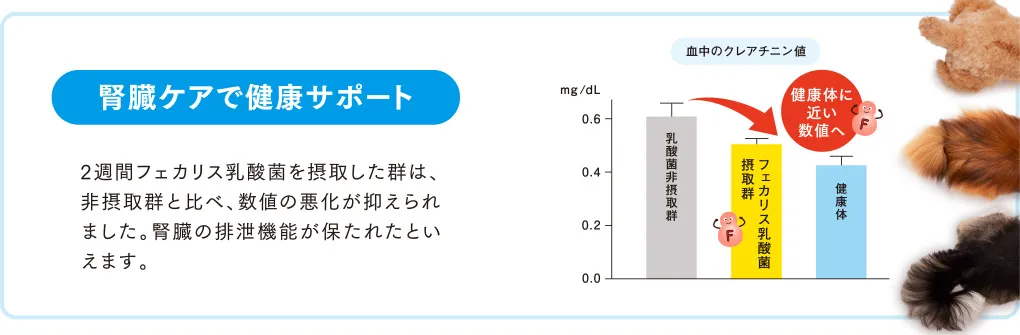 腎臓ケアで健康サポート