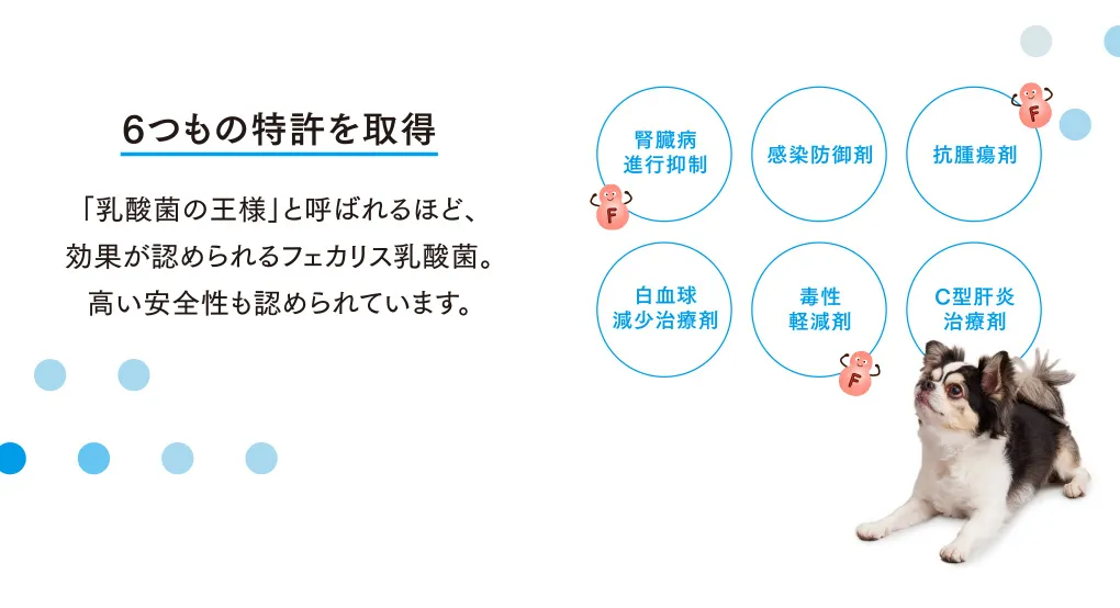 6つもの特許を取得