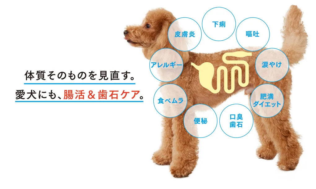 体質そのものを見直す。愛犬にも、腸活＆歯石ケア。