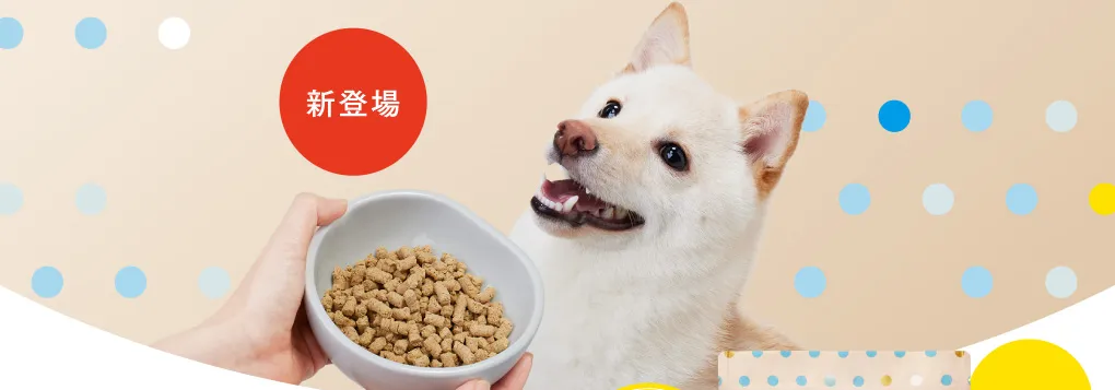 新登場