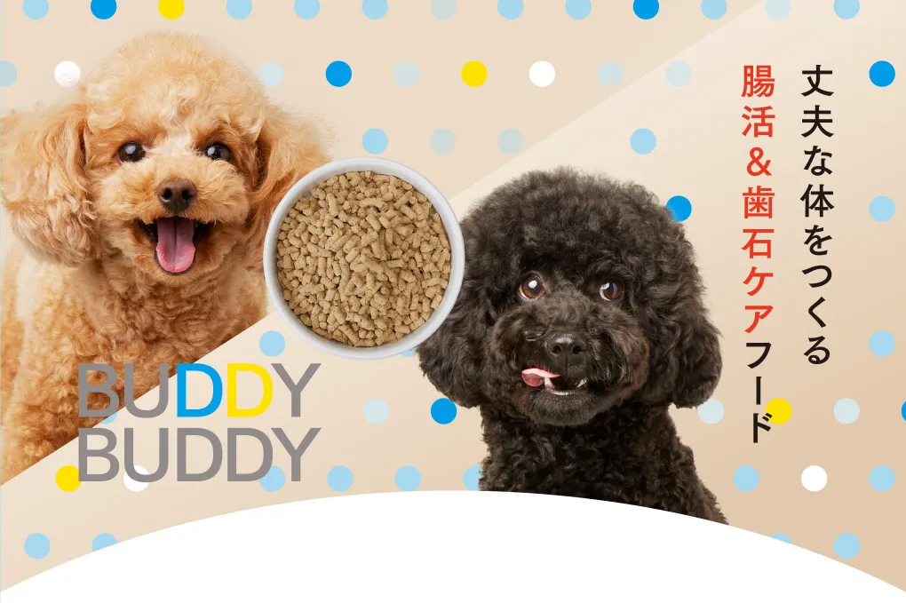 丈夫な体を育む腸活＆歯石ケアBuddy-Buddy