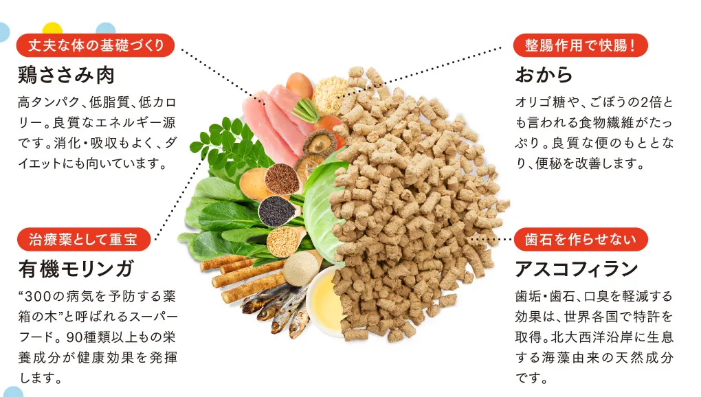 丈夫な体の基礎づくり 鶏ささみ肉 整腸作用で快腸！ おから 治療薬として重宝 有機モリンガ 歯石を作らせない アスコフィラン