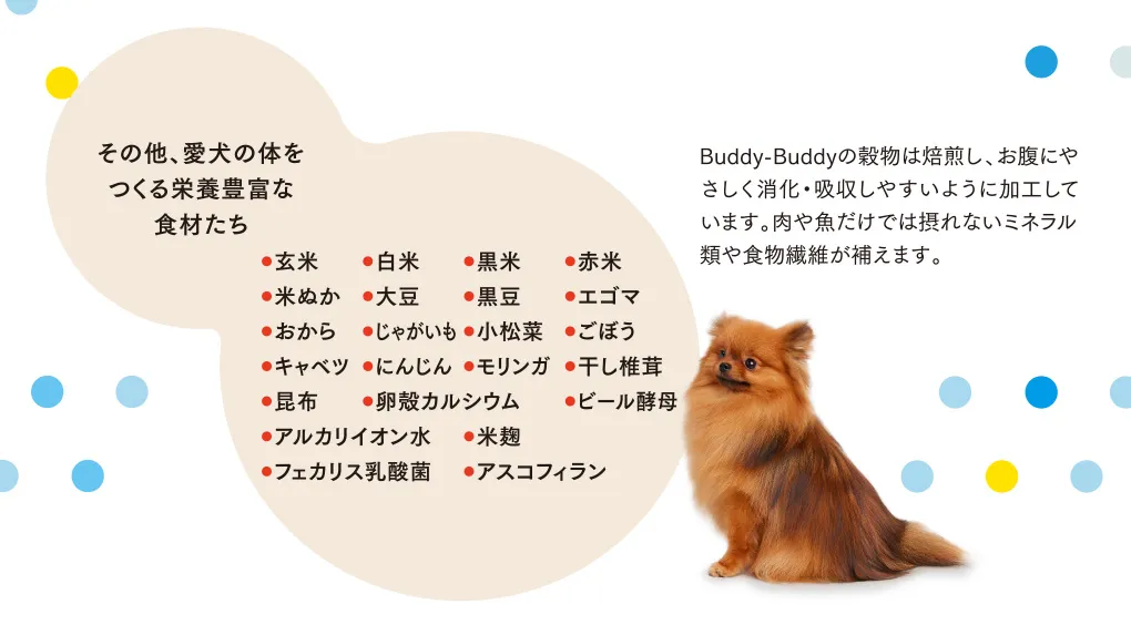その他、愛犬の体をつくる栄養豊富な食材たち