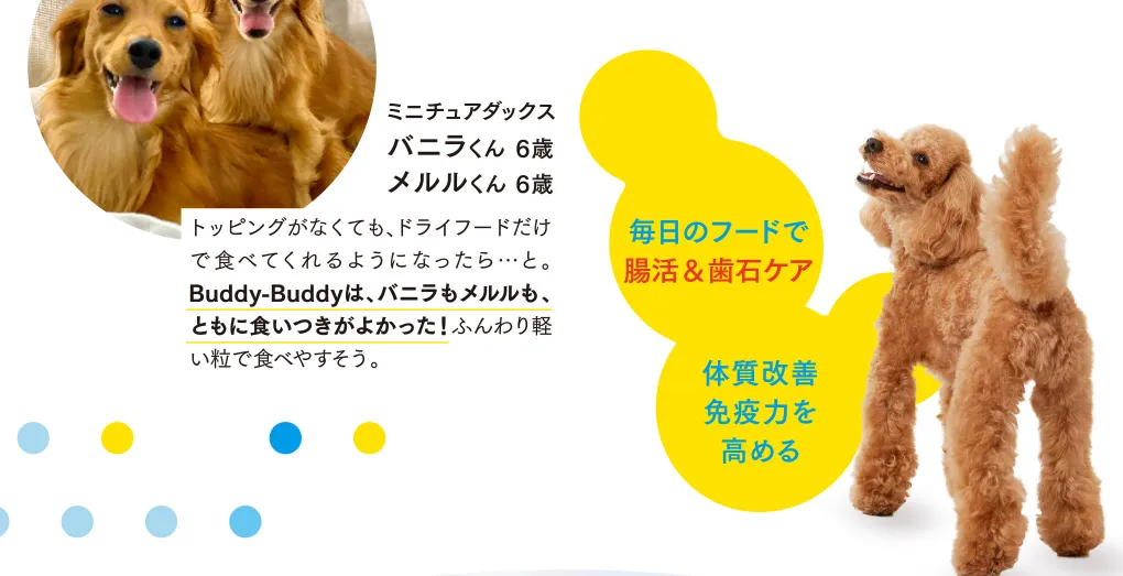 毎日のフードで腸活＆歯石ケア 体質を腸から見直す
