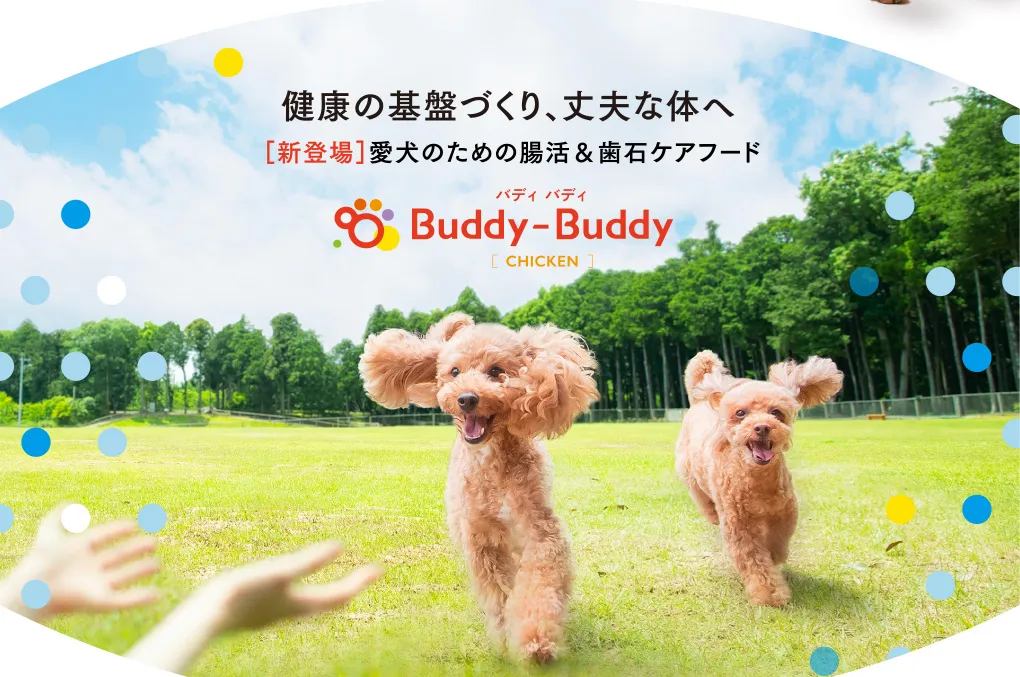 健康の基盤づくり、丈夫な体へ ［新登場］愛犬のための腸活＆歯石ケアフード Buddy-Buddy バディ バディ［CHICKEN］