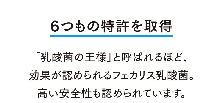 6つもの特許を取得