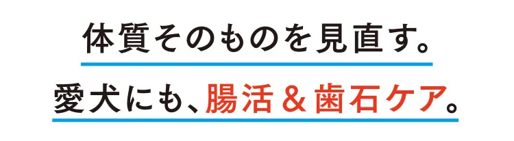 体質そのものを見直す。愛犬にも、腸活＆歯石ケア。