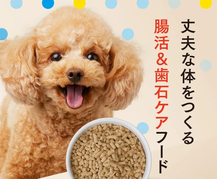 丈夫な体をつくる腸活＆歯石ケアフードBuddy-Buddy