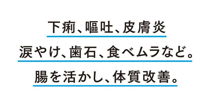 下痢、嘔吐、皮膚炎涙やけ、歯石、食べムラなど。腸を活かし、体質改善。