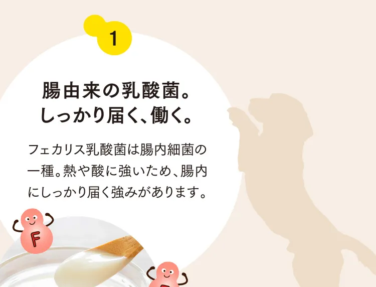 1 腸由来の乳酸菌。しっかり届く、働く。
