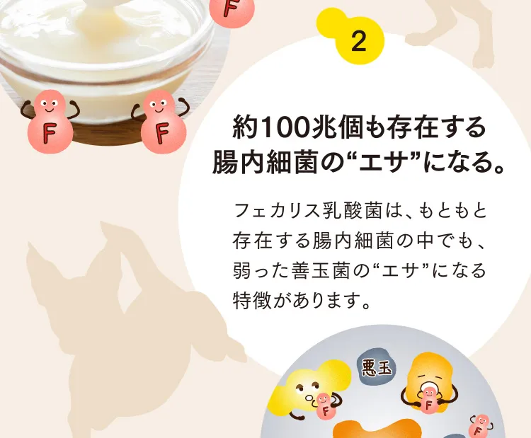 2 約100兆個も存在する腸内細菌の“エサ”になる。