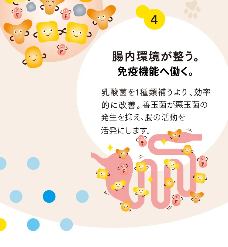 4 腸内環境が整う。免疫力が高まる。