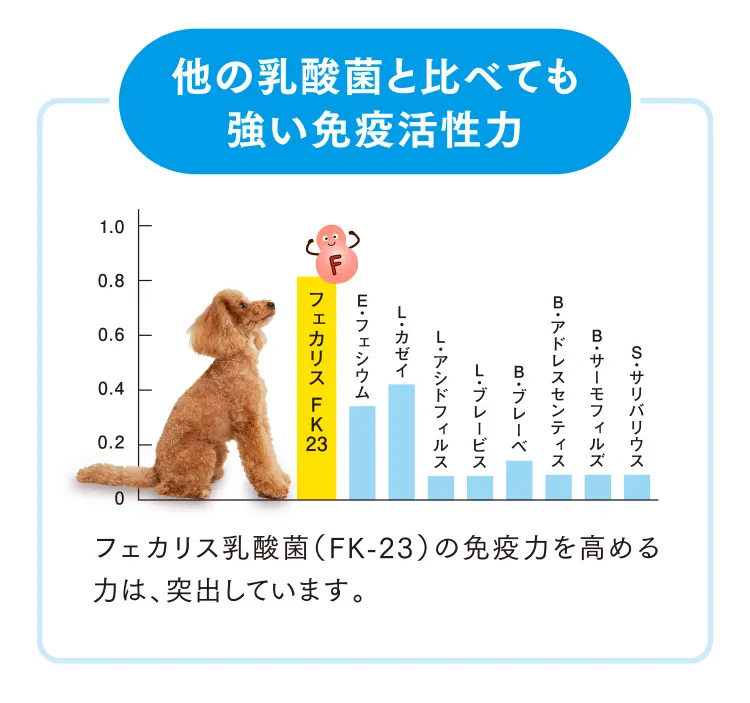 他の乳酸菌と比べても強い免疫活性力