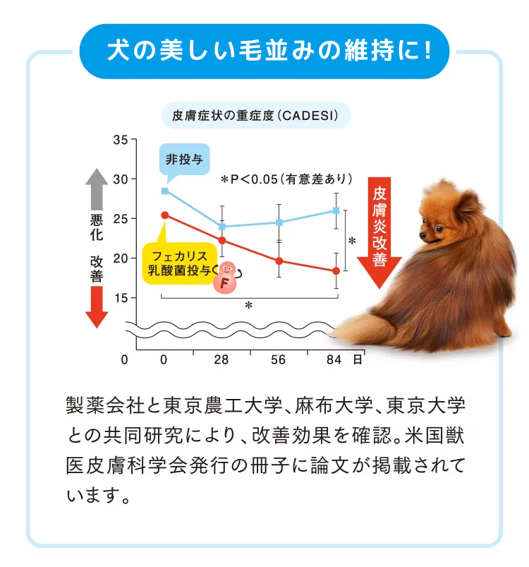 犬の皮膚・肌荒れをケア