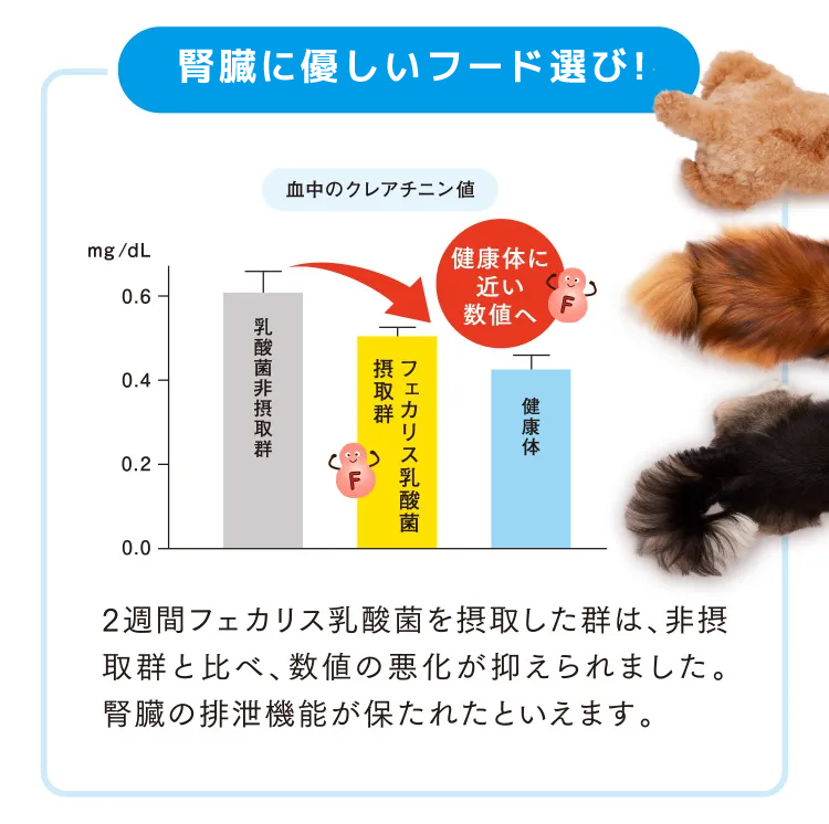 腎臓ケアで健康サポート