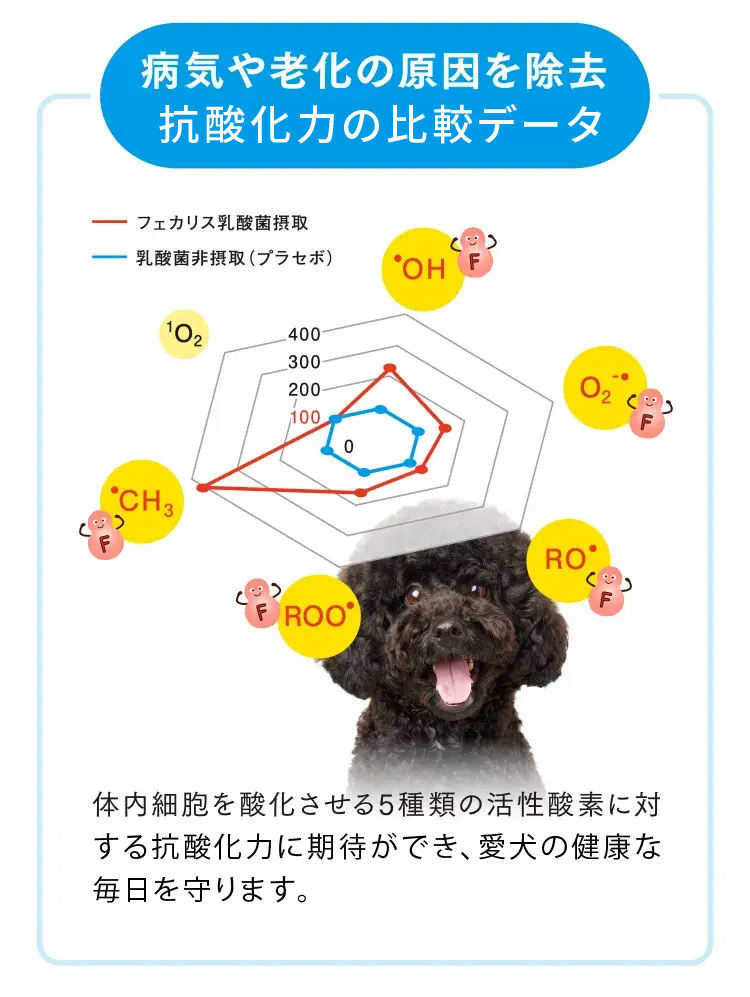 病気や老化の原因を除去抗酸化力を高める