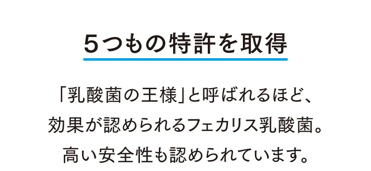 ５つもの特許を取得