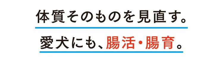 体質そのものを見直す。愛犬にも、腸活・腸育。