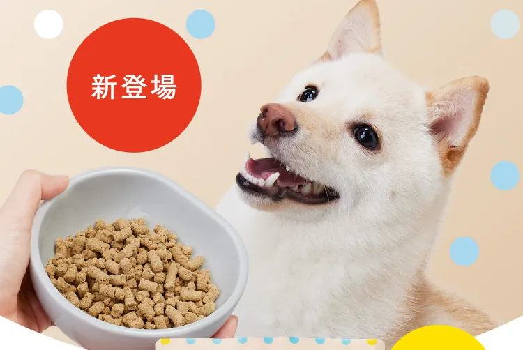 新登場