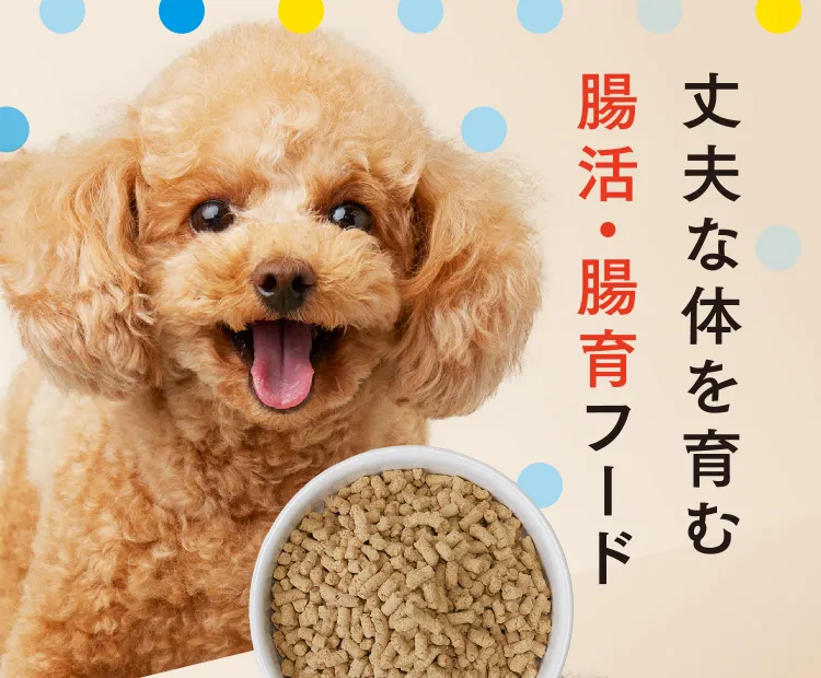 丈夫な体を育む腸活・腸育フードBuddy-Buddy