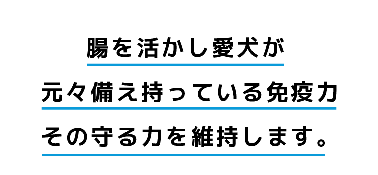 下痢、嘔吐、皮膚炎涙やけ、口臭、食べムラなど。悩める体質に腸活。