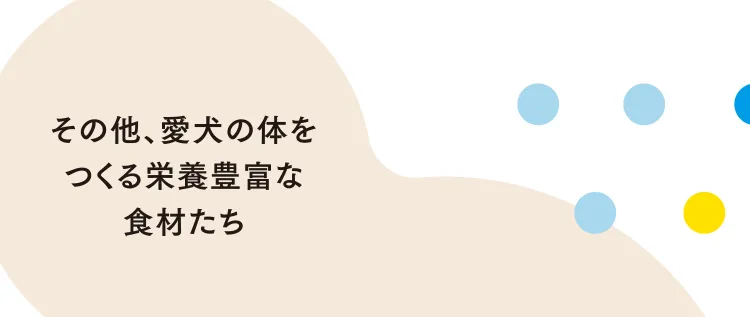 その他、愛犬の体をつくる栄養豊富な食材たち
