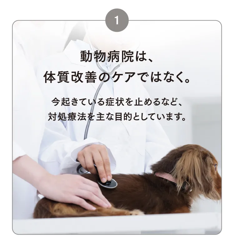 1 動物病院は、体質改善のケアではなく。
