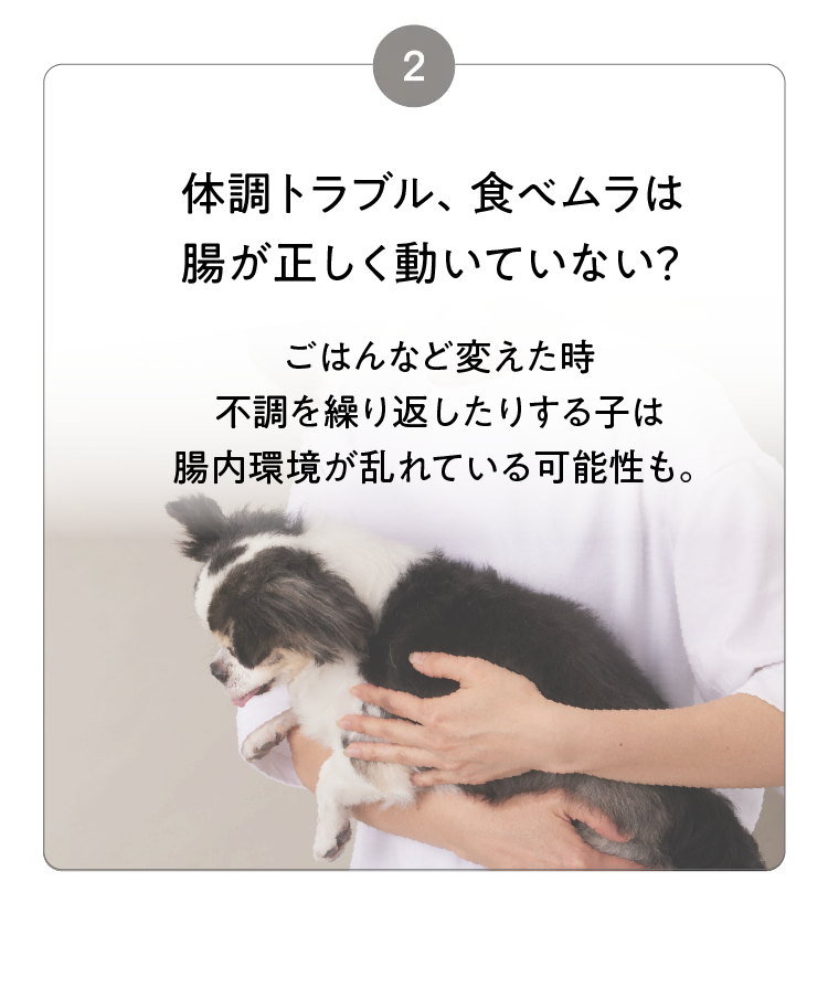 2 体調トラブル、食べムラは腸が動いていない？