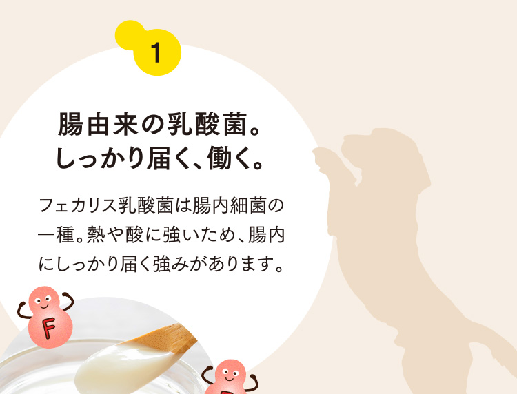1 腸由来の乳酸菌。しっかり届く、働く。