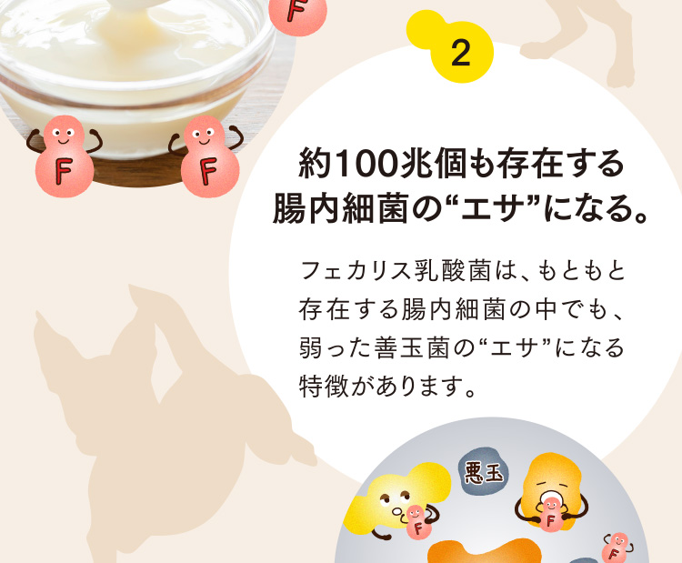 2 約100兆個も存在する腸内細菌の“エサ”になる。