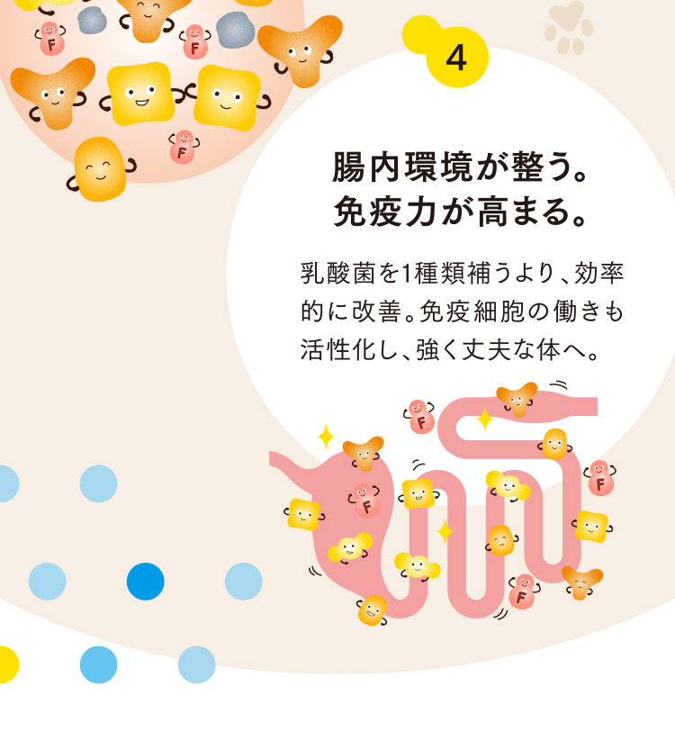 4 腸内環境が整う。免疫力が高まる。