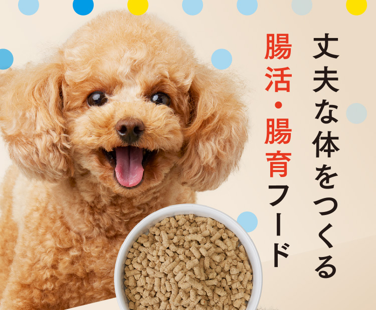丈夫な体をつくる腸活・腸育フードBuddy-Buddy