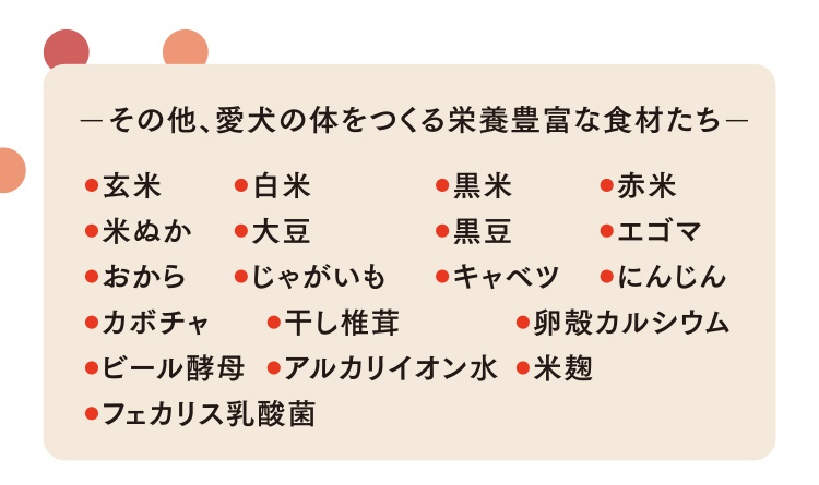 その他、愛犬の体をつくる栄養豊富な食材たち