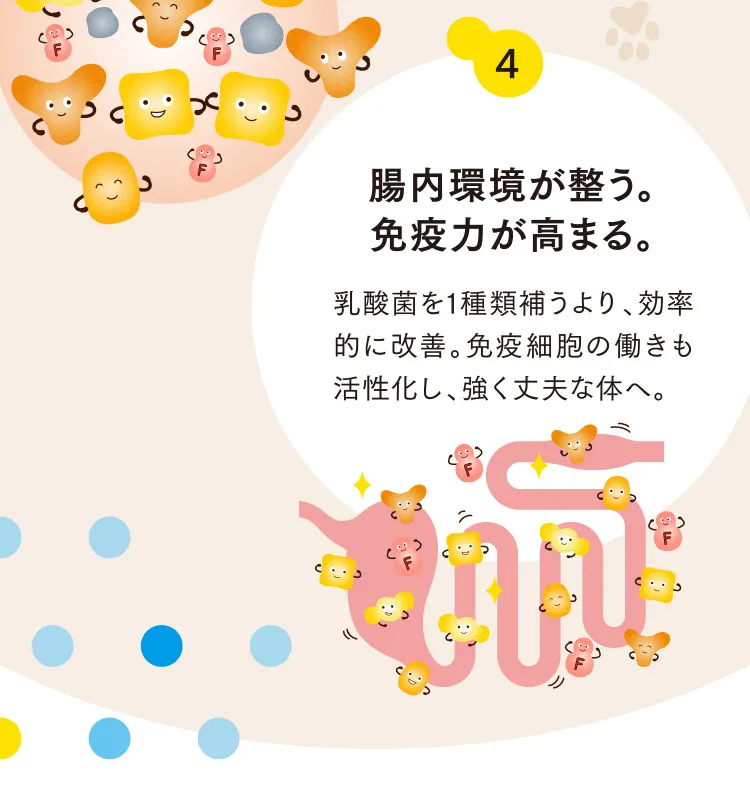4 腸内環境が整う。免疫力が高まる。