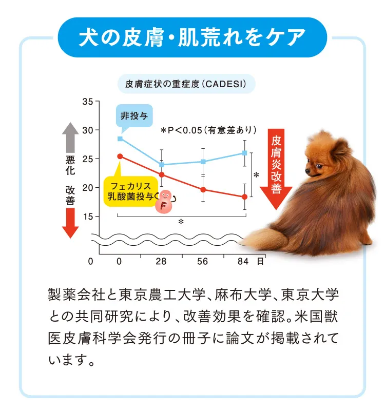 犬の皮膚・肌荒れをケア