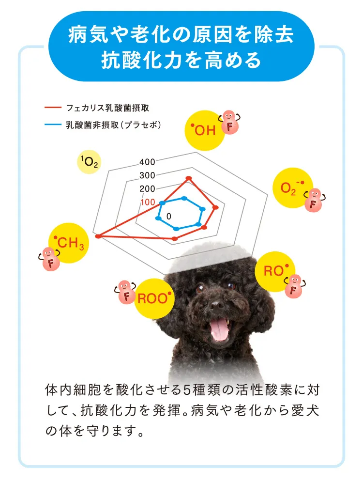 病気や老化の原因を除去抗酸化力を高める
