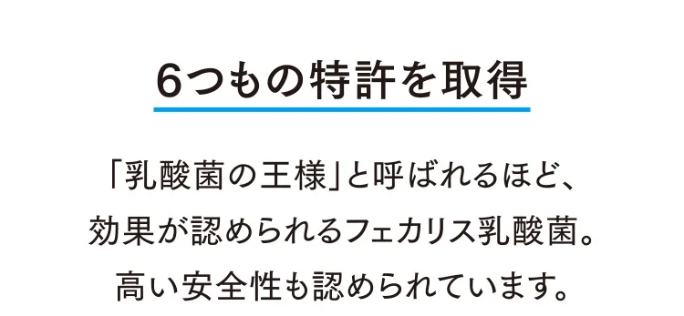 6つもの特許を取得