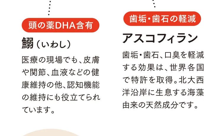 頭の薬DHA含有 鰯（いわし） 歯垢・歯石の軽減 アスコフィラン