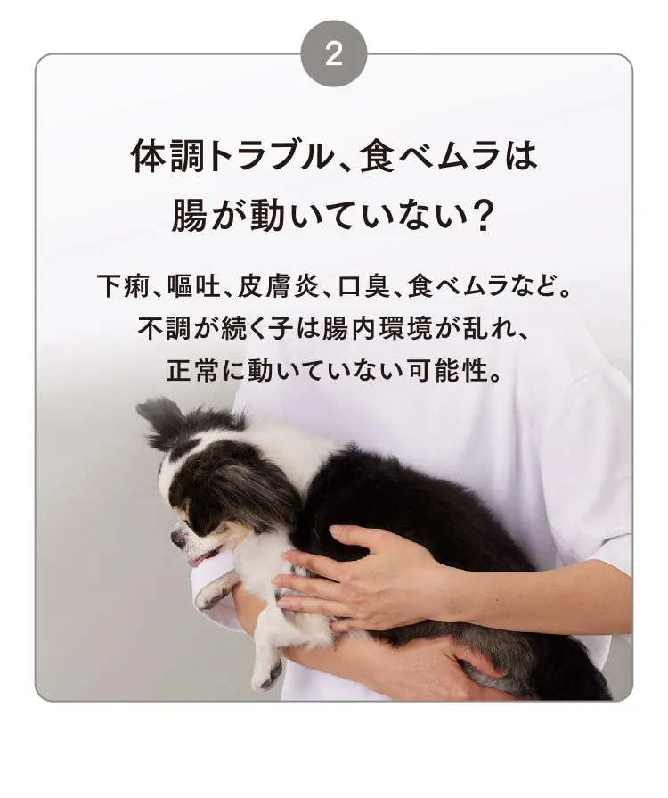 2 体調トラブル、食べムラは腸が動いていない？