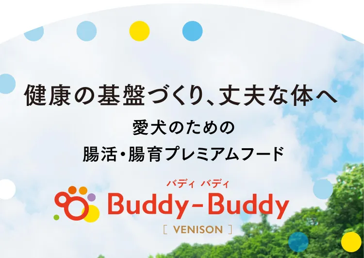 健康の基盤づくり、丈夫な体へ 愛犬のための腸活・腸育プレミアムフード Buddy-Buddy バディ バディ［VENISON］