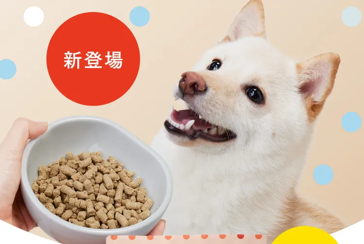 新登場
