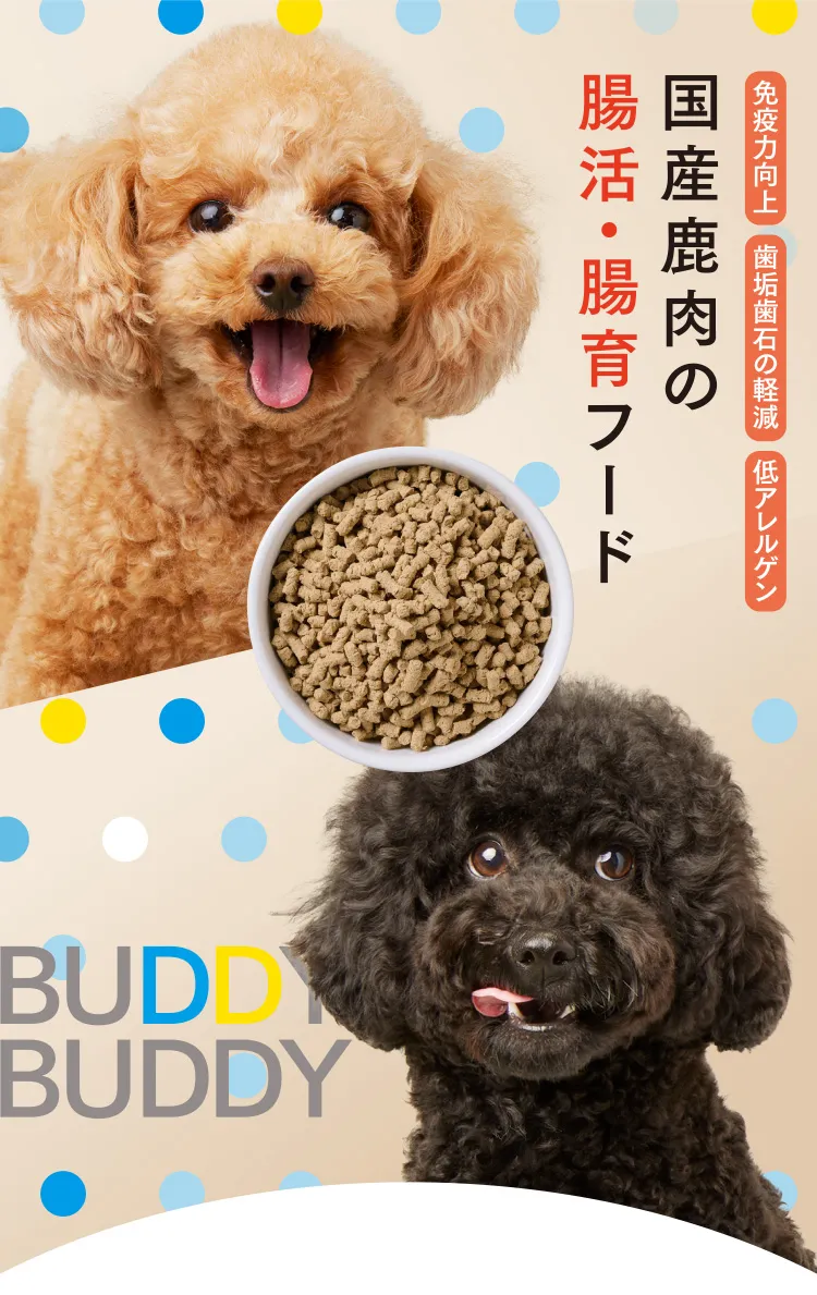 国産鹿肉の腸活・腸育フードBuddy-Buddy