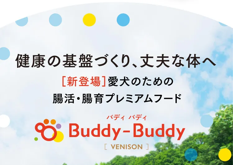 健康の基盤づくり、丈夫な体へ ［新登場］愛犬のための腸活・腸育プレミアムフード Buddy-Buddy バディ バディ［VENISON］